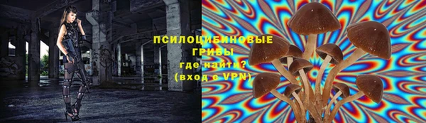 МДПВ Верея