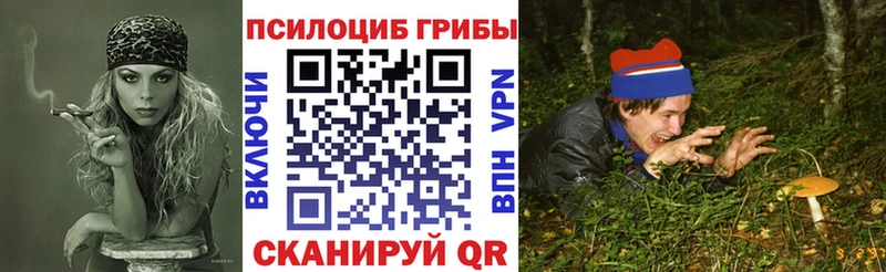 продажа наркотиков  ОМГ ОМГ вход  Псилоцибиновые грибы Cubensis  Балаково 